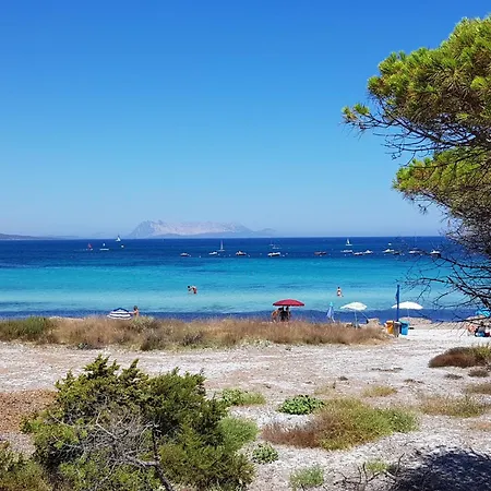 Le Dimore Di Budoni-3 By Interhome Apartment Limpiddu